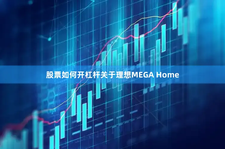 股票如何开杠杆关于理想MEGA Home