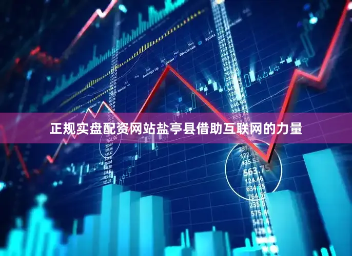 正规实盘配资网站盐亭县借助互联网的力量