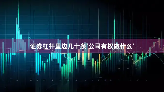 证券杠杆里边几十条‘公司有权做什么’