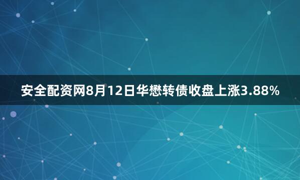 安全配资网8月12日华懋转债收盘上涨3.88%