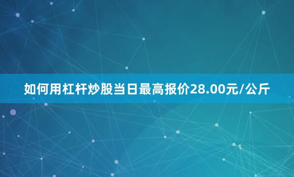如何用杠杆炒股当日最高报价28.00元/公斤